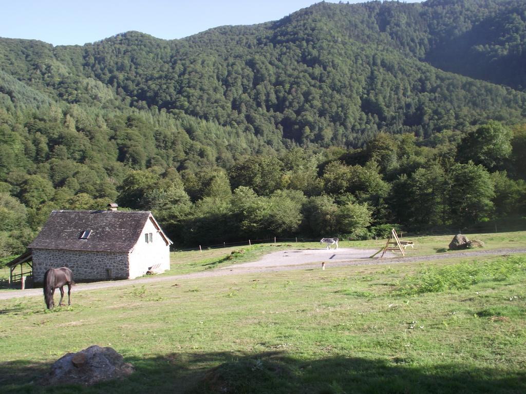 Les Chalets De La Foret D'Issaux Osse-en-Aspe Номер фото